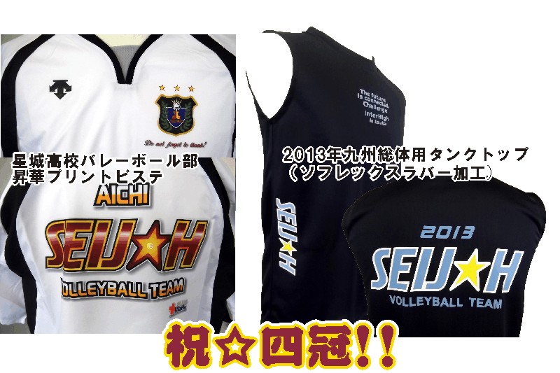 星城高校 星城 星城バレー バレーボール - その他スポーツ